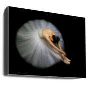 Pauline Pentony Wall Art Elegance Dance-Canvas Print-DECOROLALA