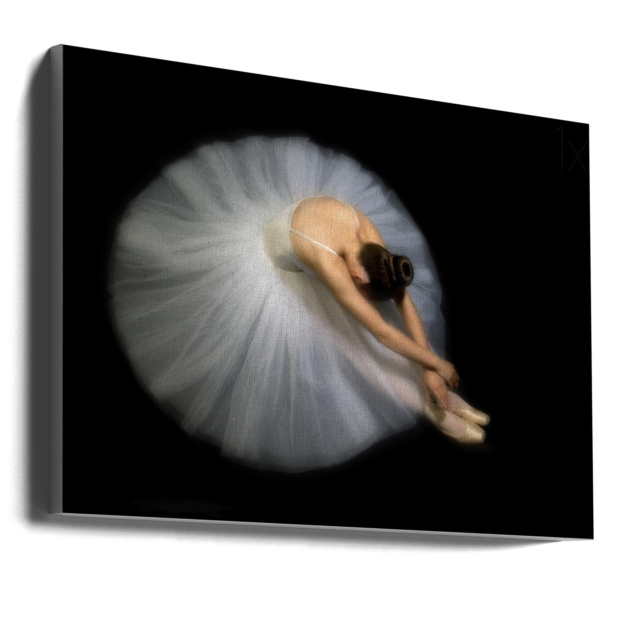 Pauline Pentony Wall Art Elegance Dance-Canvas Print-DECOROLALA