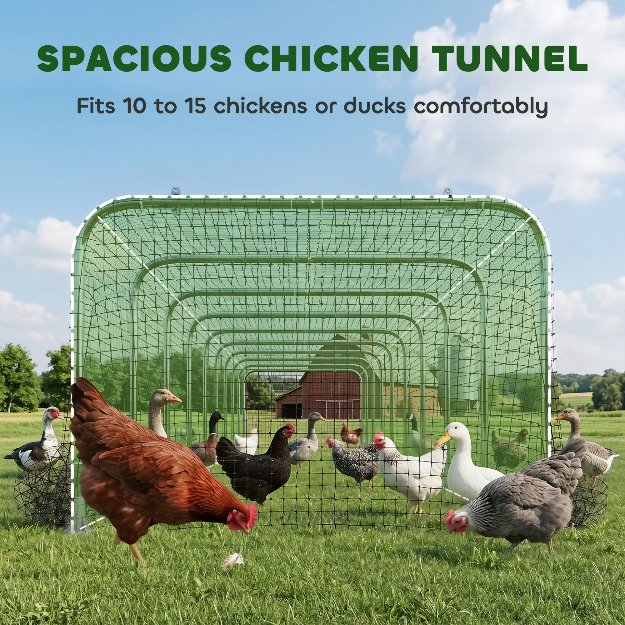 Extra Long Chicken Tunnel for Outside, 354" x 39" Galvanized Steel Chicken Run for 10-15 Chickens or Ducks