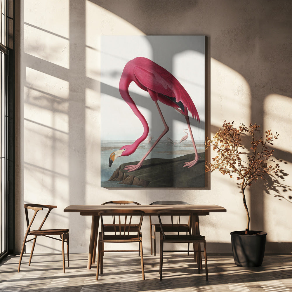 Pink Flamingo II Audubon Birds of America-canvas-DECOROLALA