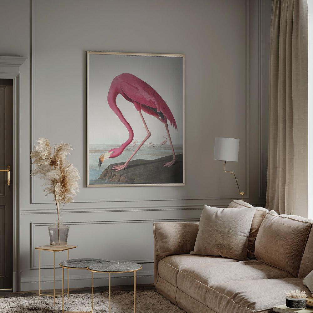 Pink Flamingo II Audubon Birds of America-canvas-DECOROLALA