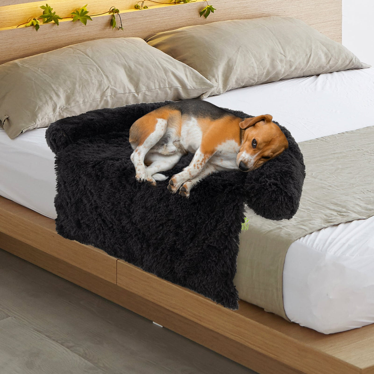 Plush Calming Dog Couch Bed with Anti-Slip Bottom-M-Dog Supplies-DECOROLALA