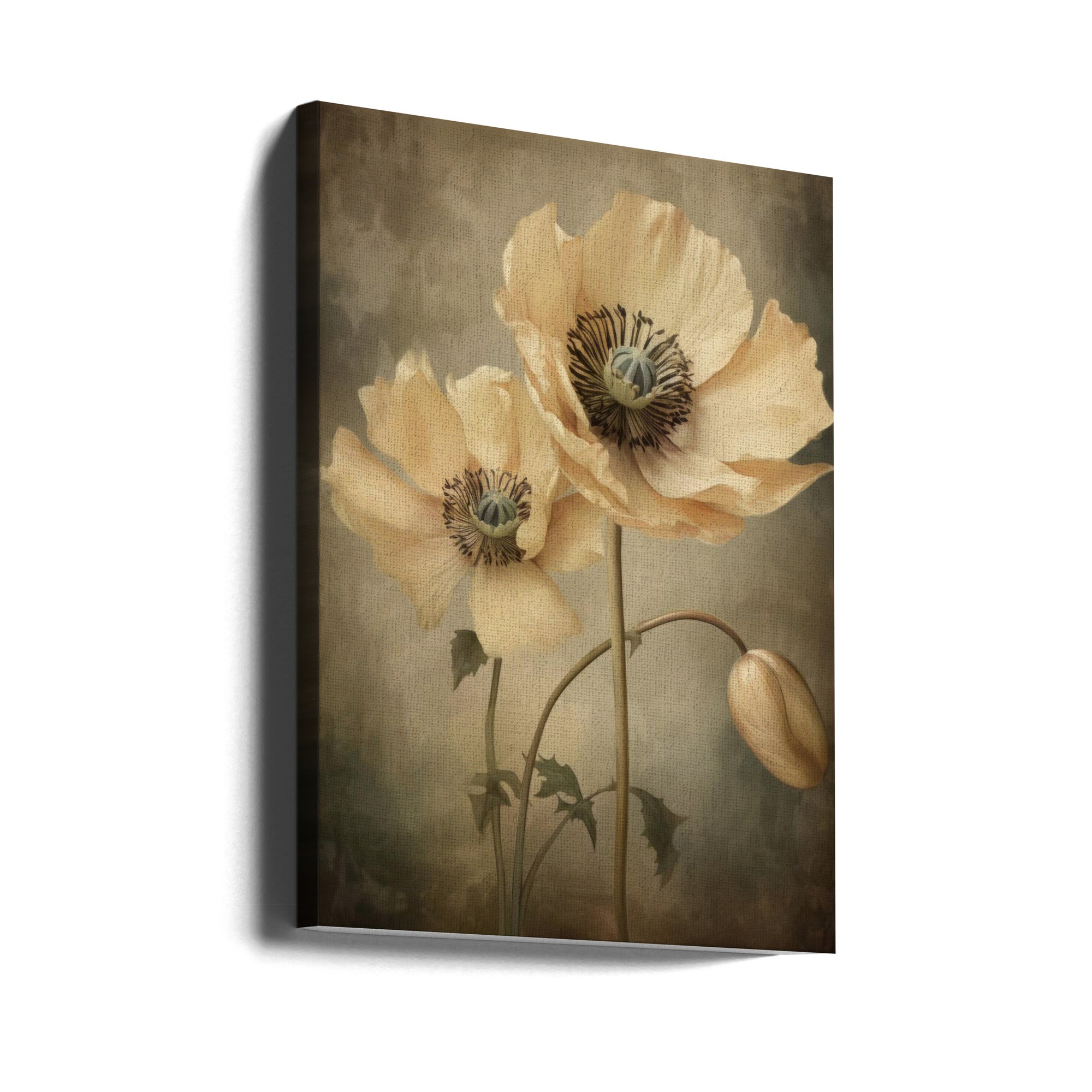 Poppies 20 by Bilge Paksoylu-canvas-DECOROLALA