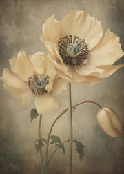 Poppies 20 by Bilge Paksoylu-canvas-DECOROLALA