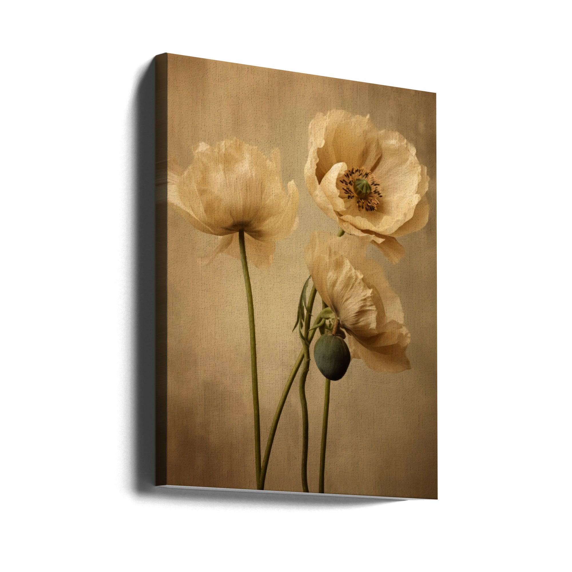 Poppies 24 Wall Art by Bilge Paksoylu-canvas-DECOROLALA