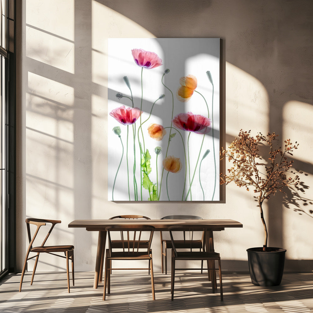 Poppies by Mandy Disher Wall Art-canvas-DECOROLALA