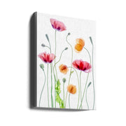 Poppies by Mandy Disher Wall Art-canvas-DECOROLALA