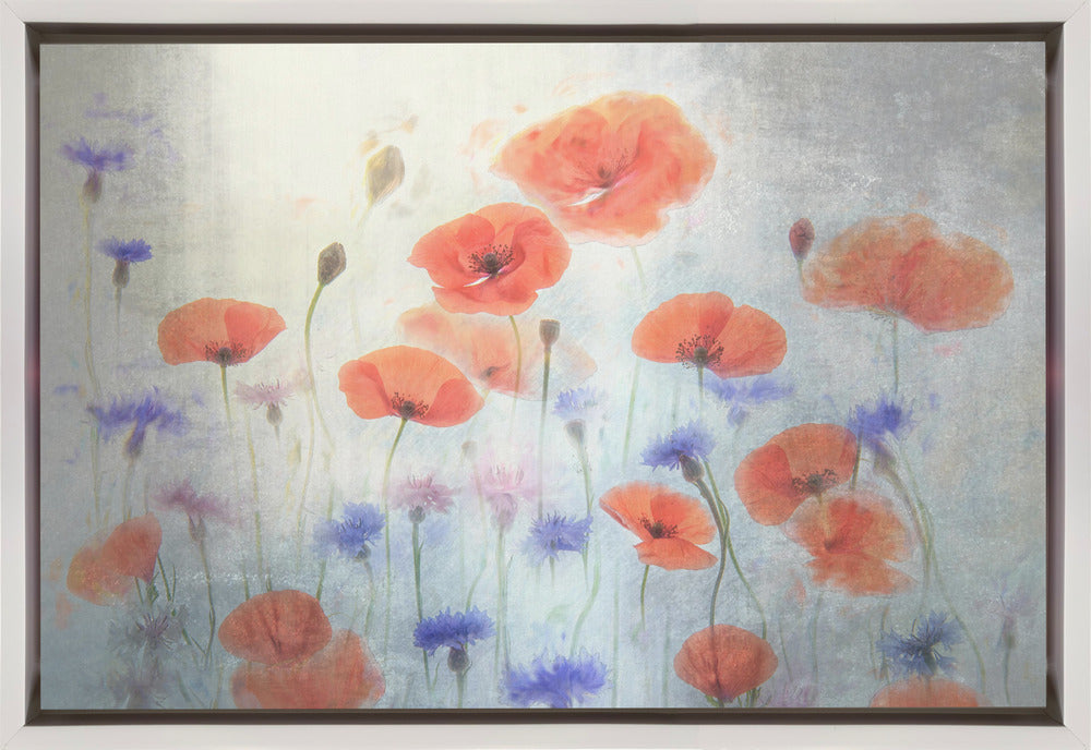 Poppy Wall Art by Catherine Wang-canvas-DECOROLALA