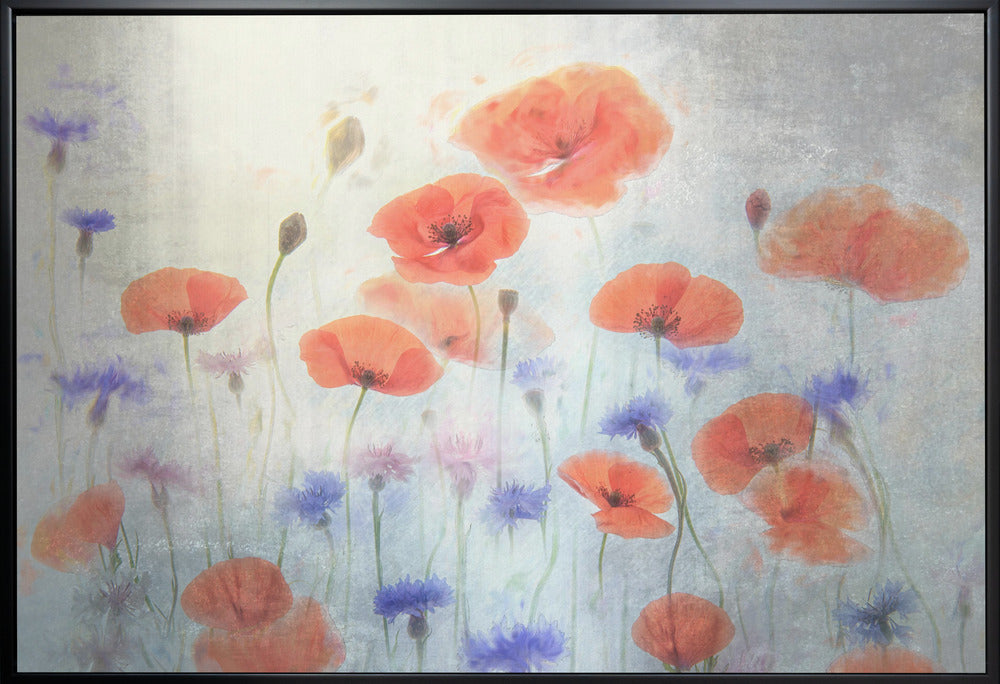 Poppy Wall Art by Catherine Wang-canvas-DECOROLALA