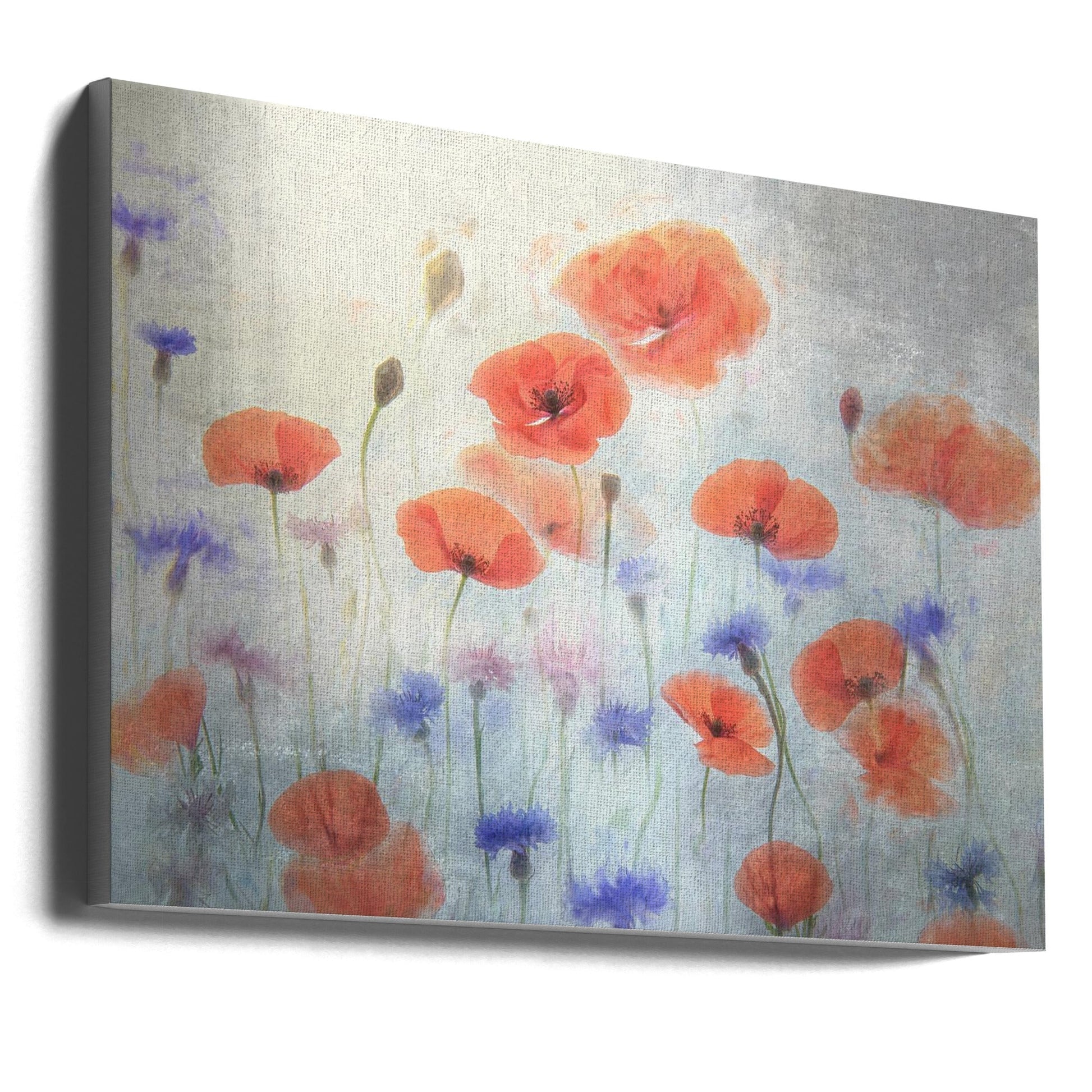 Poppy Wall Art by Catherine Wang-canvas-DECOROLALA