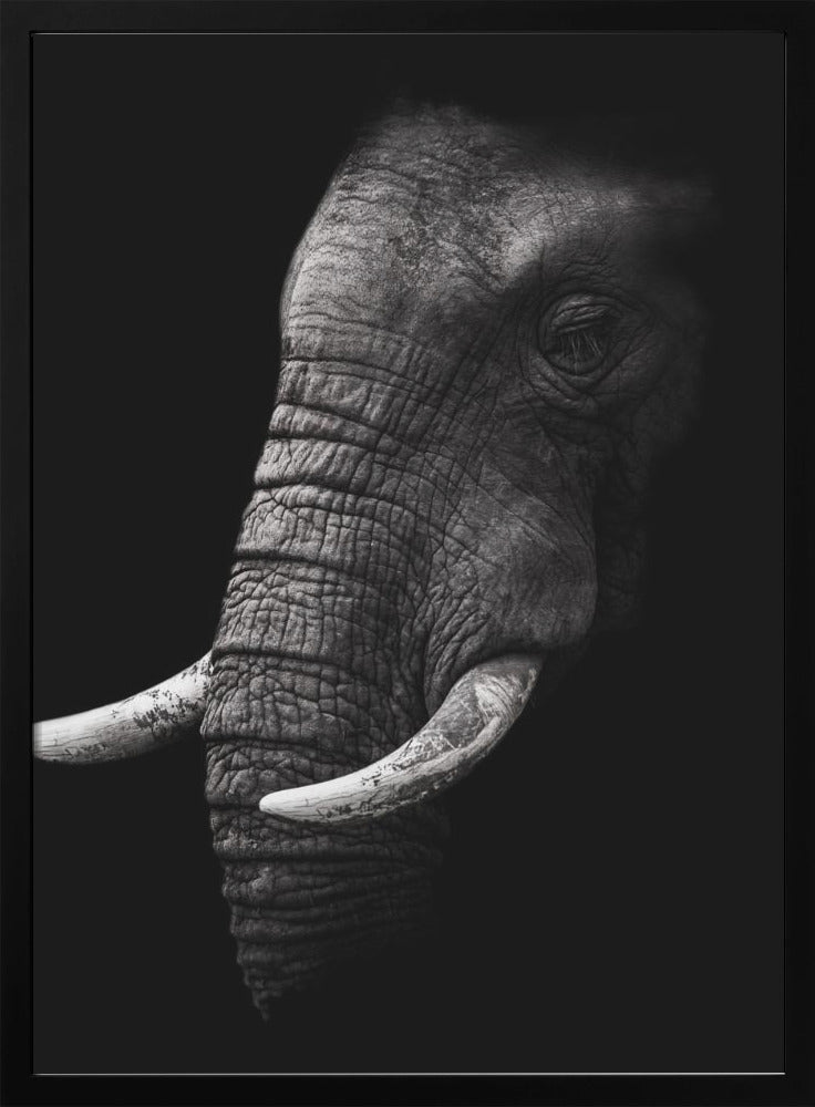 Portrait by WildPhotoArt-canvas-DECOROLALA