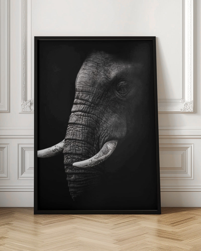 Portrait by WildPhotoArt-canvas-DECOROLALA