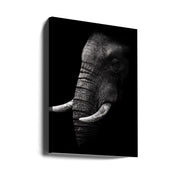 Portrait by WildPhotoArt-canvas-DECOROLALA