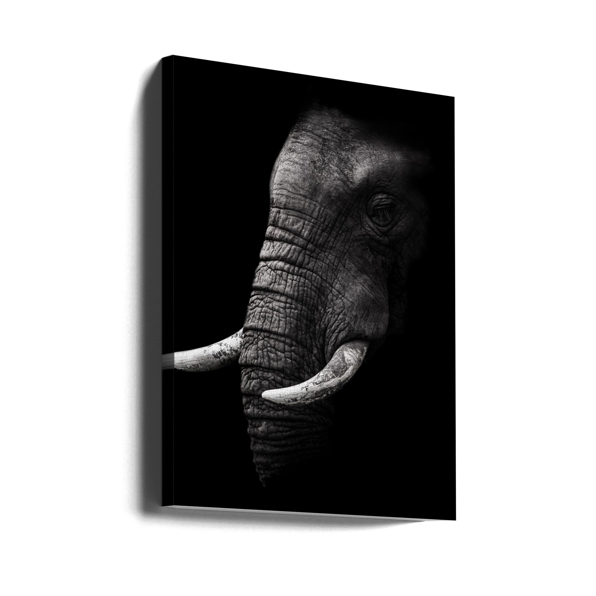 Portrait by WildPhotoArt-canvas-DECOROLALA