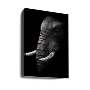 Portrait-canvas-DECOROLALA