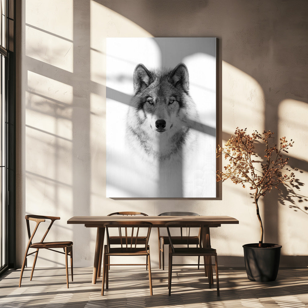 Portrait of a Timber Wolf by Jim Cumming-canvas-DECOROLALA