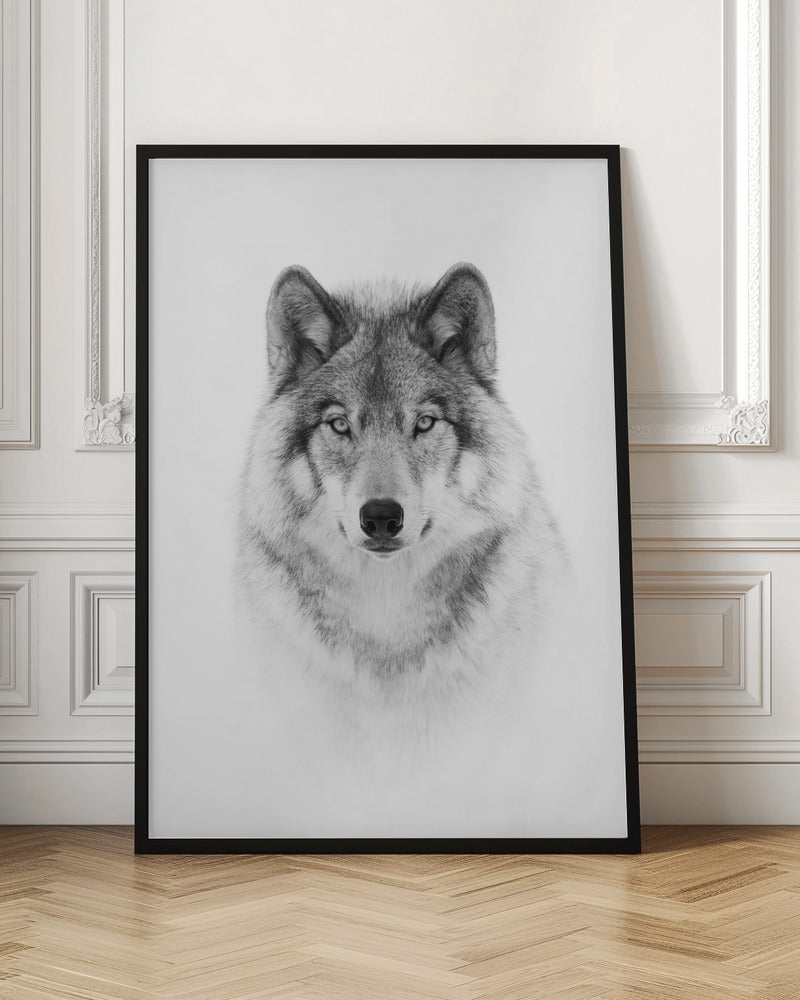 Portrait of a Timber Wolf-canvas-DECOROLALA