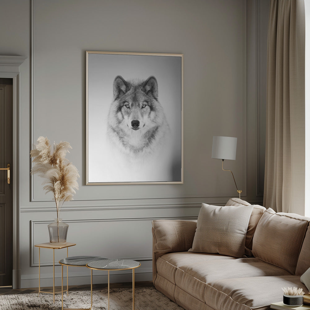 Portrait of a Timber Wolf-canvas-DECOROLALA