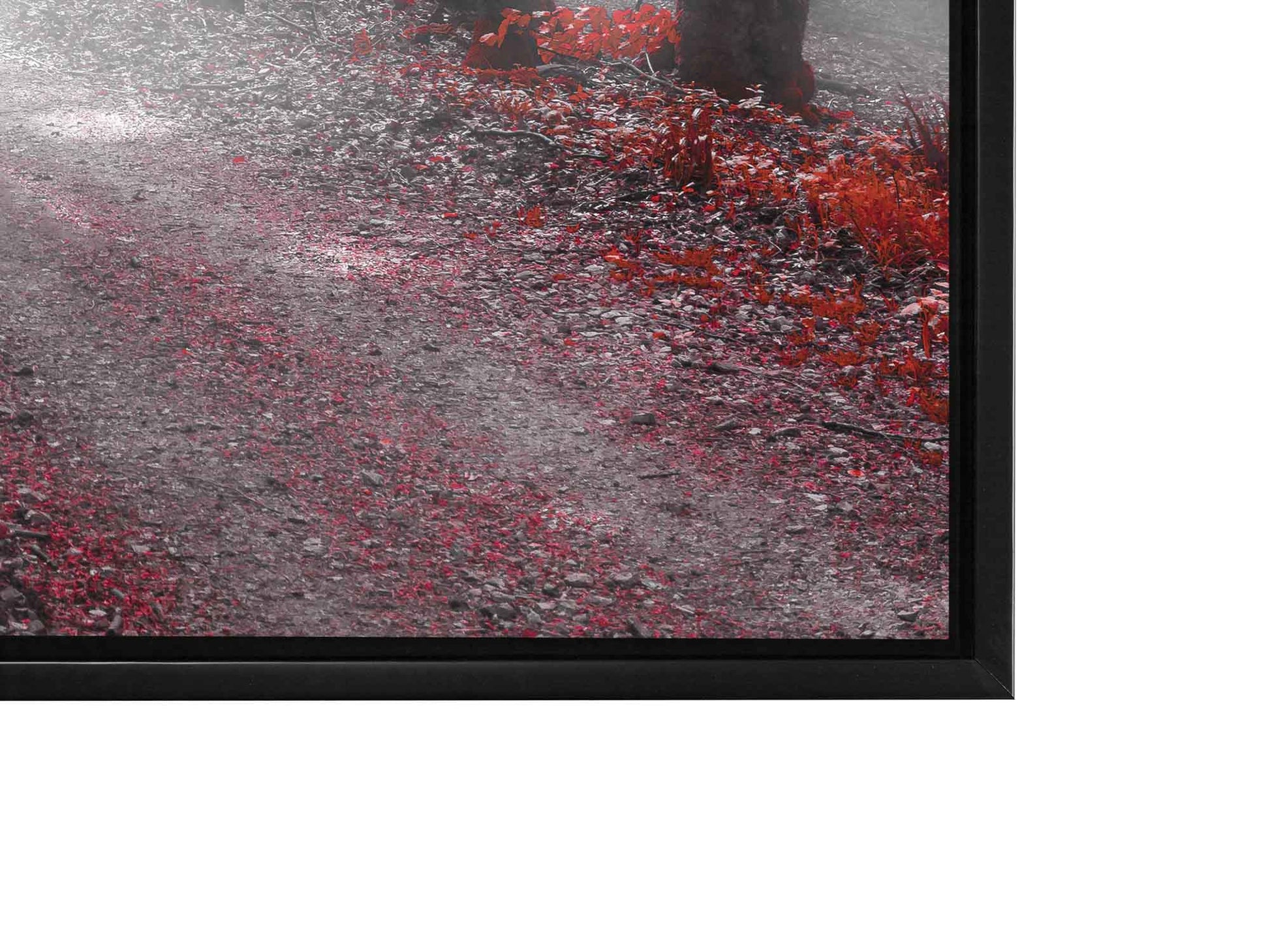 Printed Artwork-Red Isolate Forest-Wall decor-Wall Art-DECOROLALA