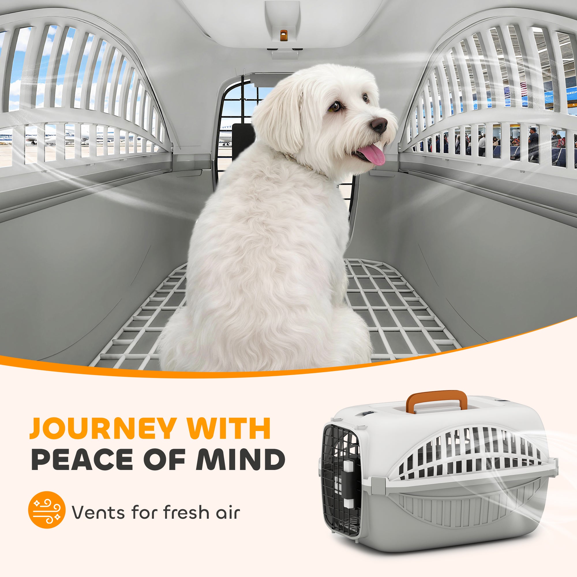 Airline Approved Pet Carrier for Mini Dogs and Cats with Steel Wire Door, Water Bowl, for Car, Airplane, Outdoor