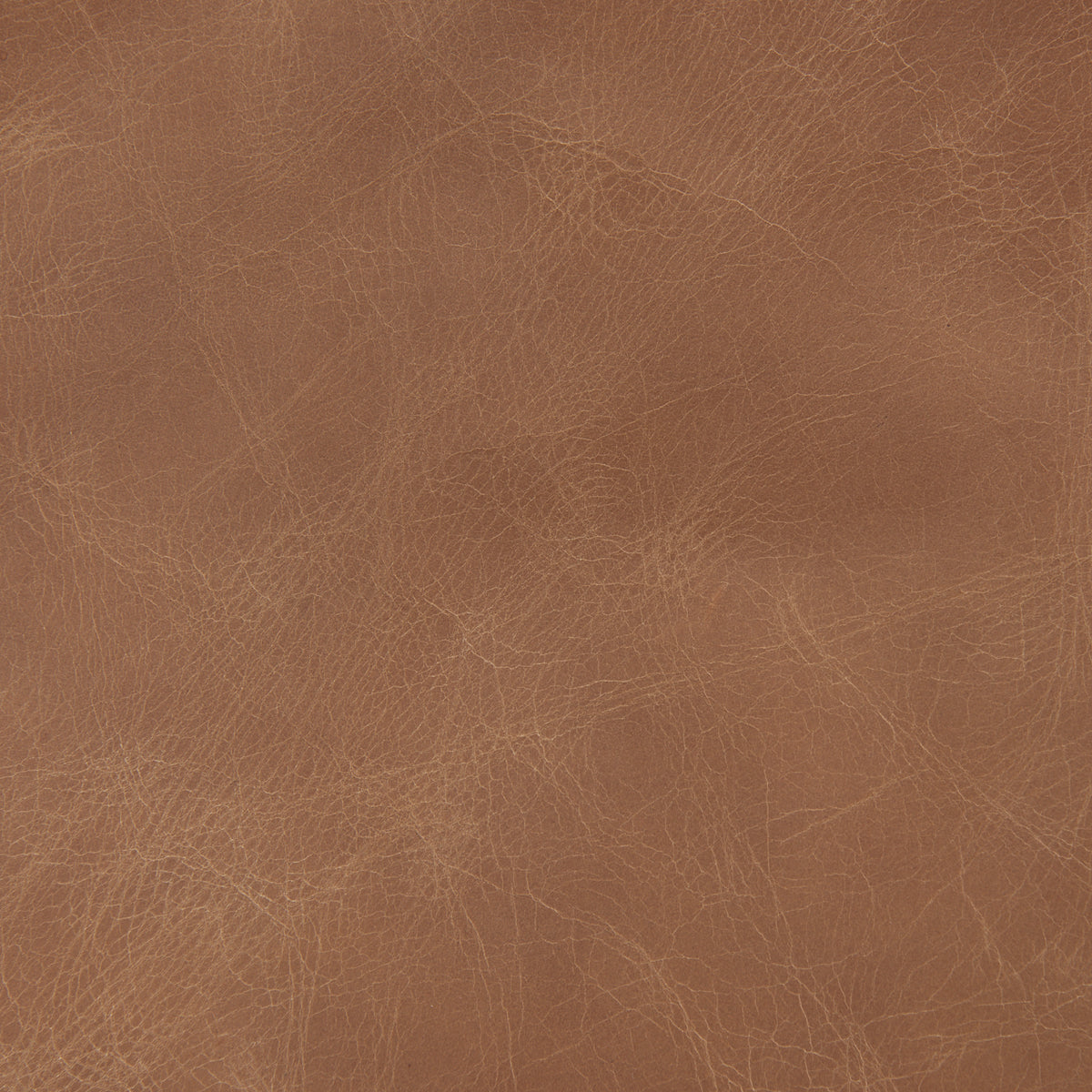 Raeleigh 28.0L x 34.1W x 34.4H Cognac Leather W/ Light Brown Wood Frame Accent Chair-Accent Chairs-DECOROLALA
