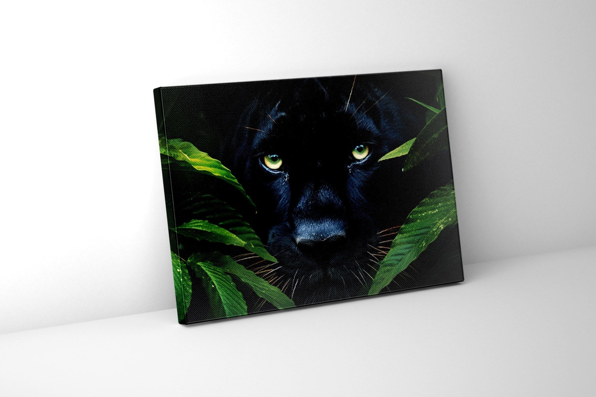 Rare Black Jaguar Canvas Wall Art 48x36 Inches-Wall Art-DECOROLALA
