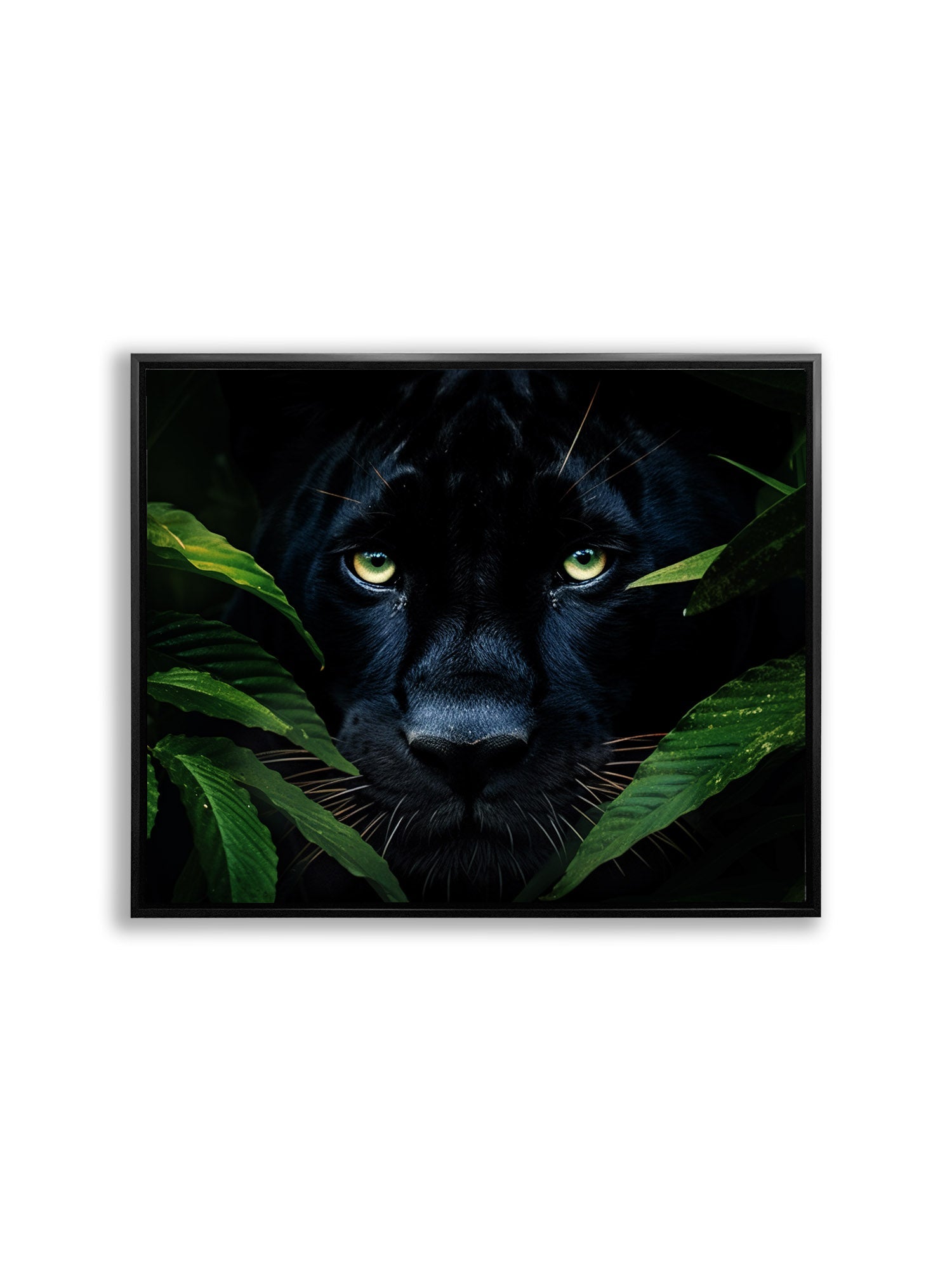 Rare Black Jaguar Canvas Wall Art 48x36 Inches-Wall Art-DECOROLALA