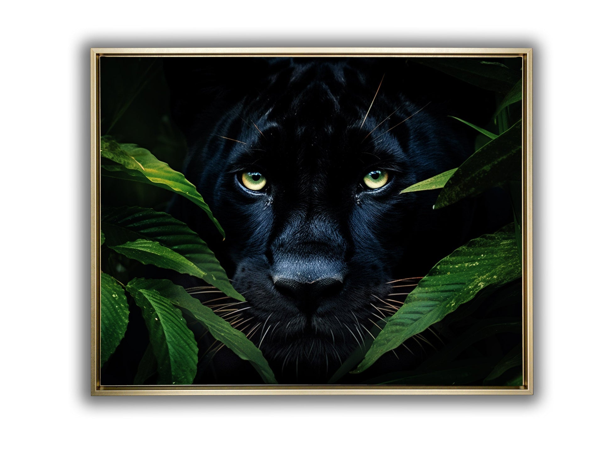 Rare Black Jaguar Canvas Wall Art 48x36 Inches-Wall Art-DECOROLALA