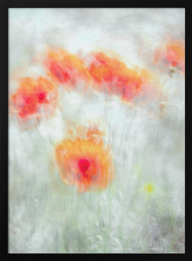 Red Corn Flowers Wall Art by Majid Behzad-canvas-DECOROLALA