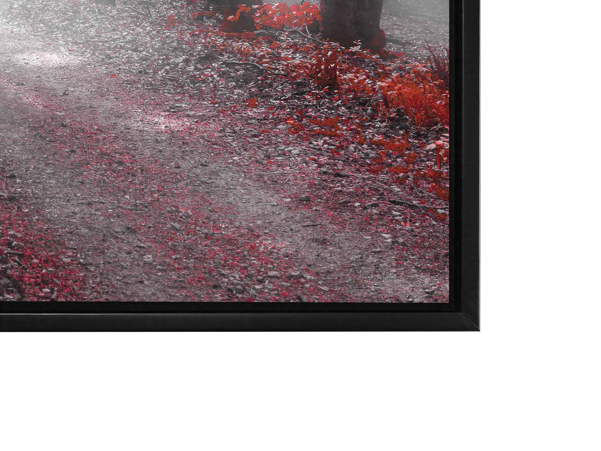 Red Isolate Forest Canvas Wall Art-Wall Art-DECOROLALA