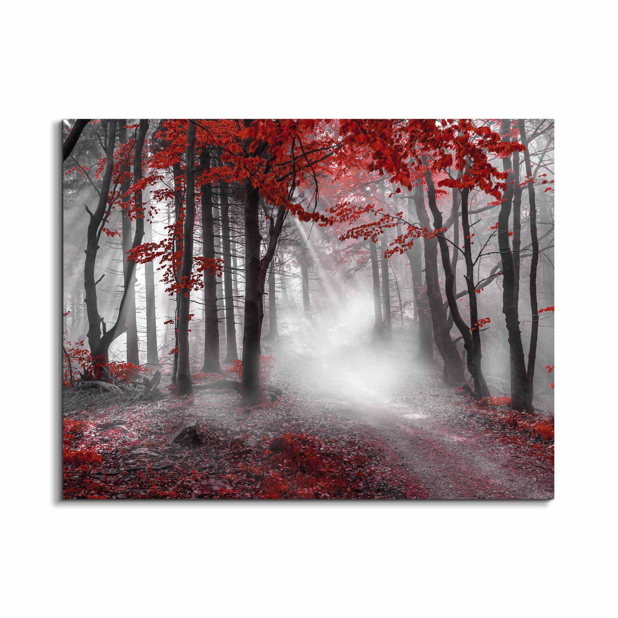 Red Isolate Forest Canvas Wall Art-Wall Art-DECOROLALA