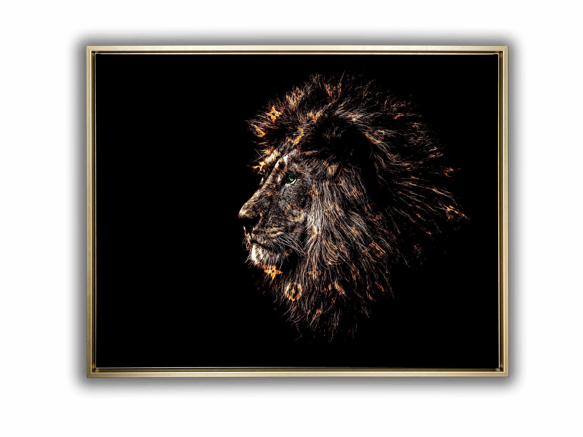 Rich Gold Emblazoned Lion 48" x 36" Fine Art Canvas-Canvas Print-DECOROLALA