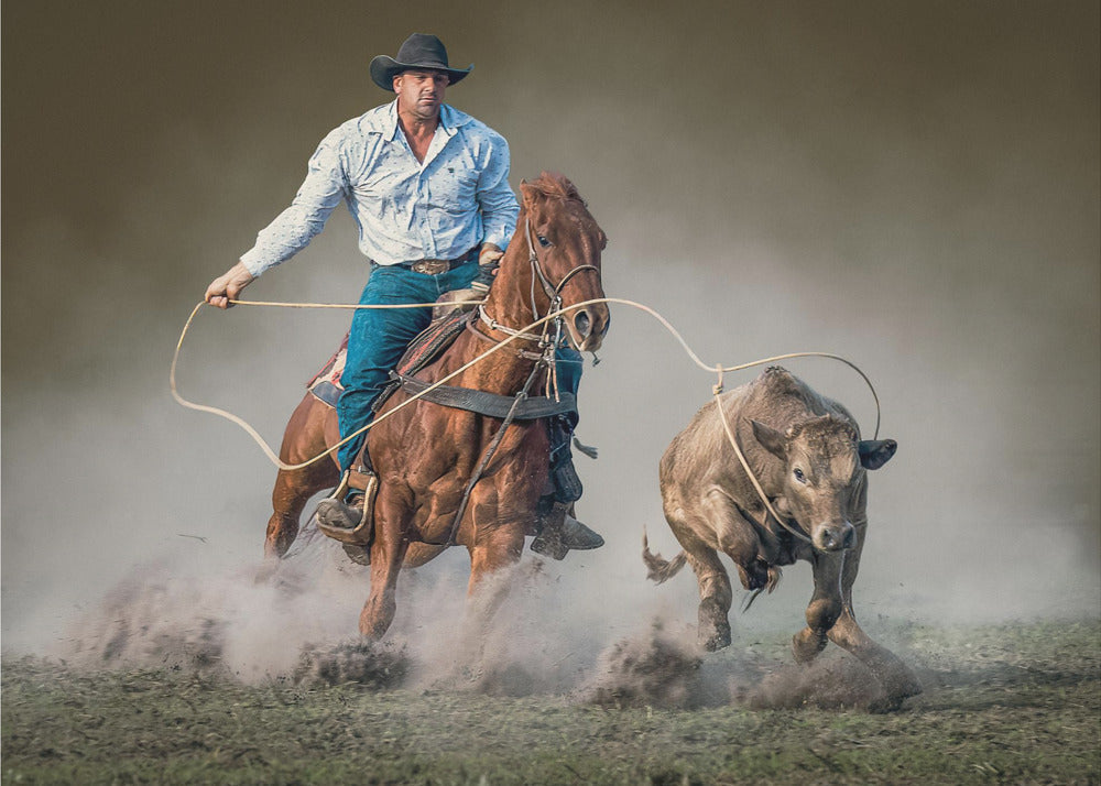 Roped by Frank Ma-canvas-DECOROLALA