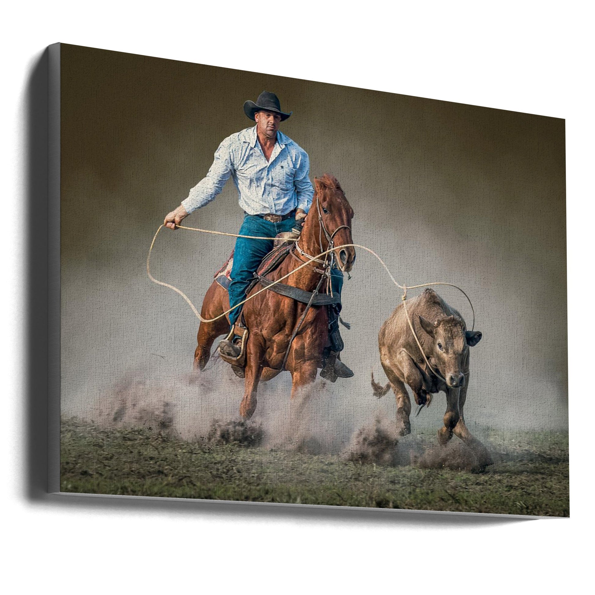 Roped by Frank Ma-canvas-DECOROLALA