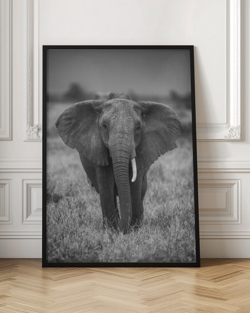 SINGULARITY Wall Art by Jaco Marx-canvas-DECOROLALA