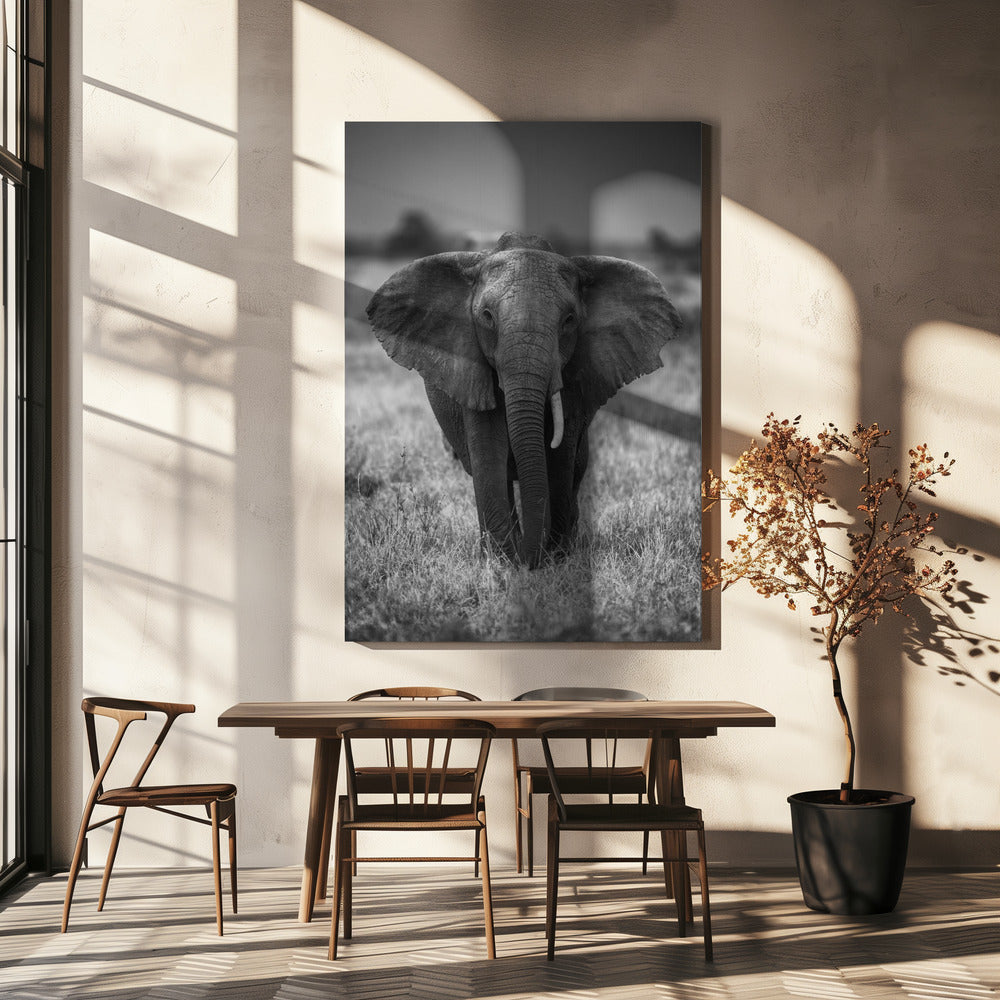 SINGULARITY Wall Art by Jaco Marx-canvas-DECOROLALA