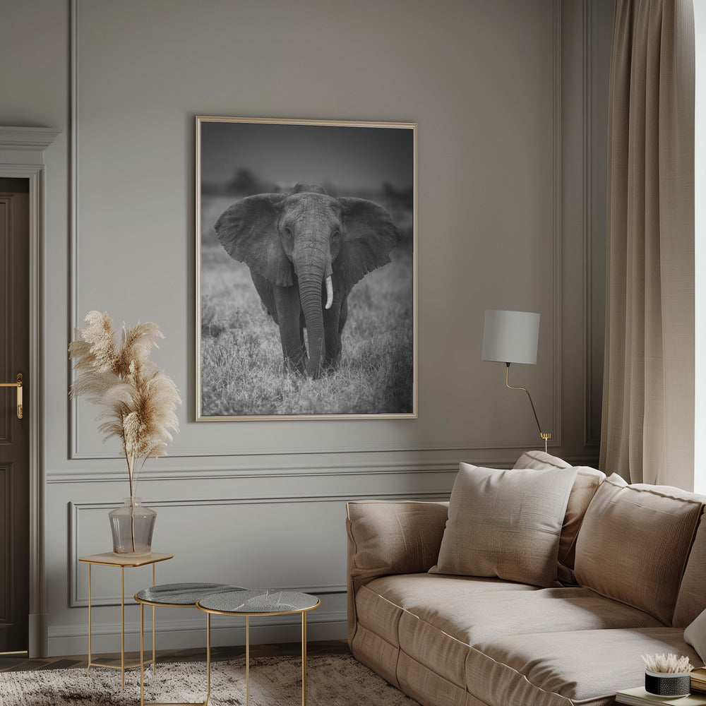 SINGULARITY Wall Art by Jaco Marx-canvas-DECOROLALA