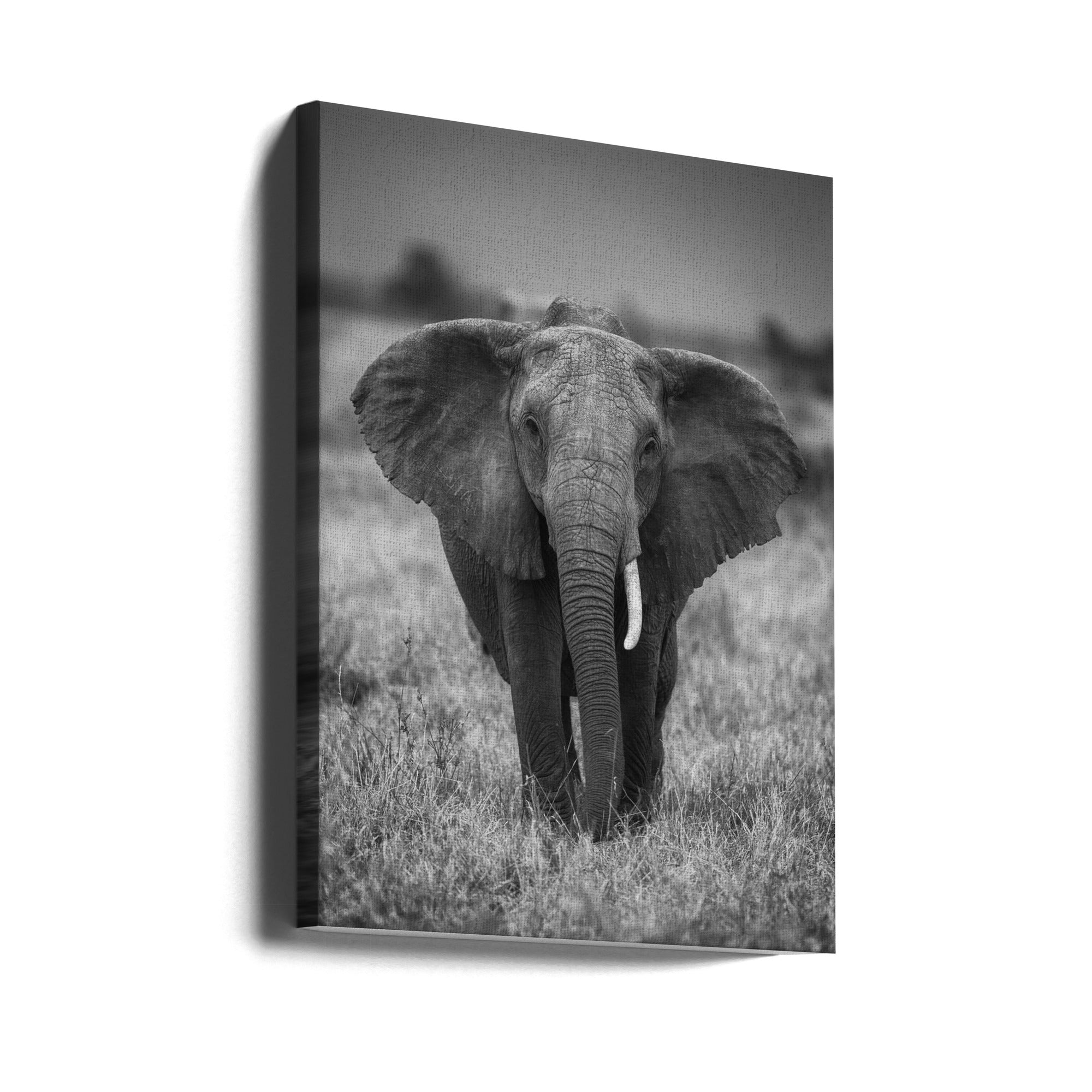 SINGULARITY Wall Art by Jaco Marx-canvas-DECOROLALA