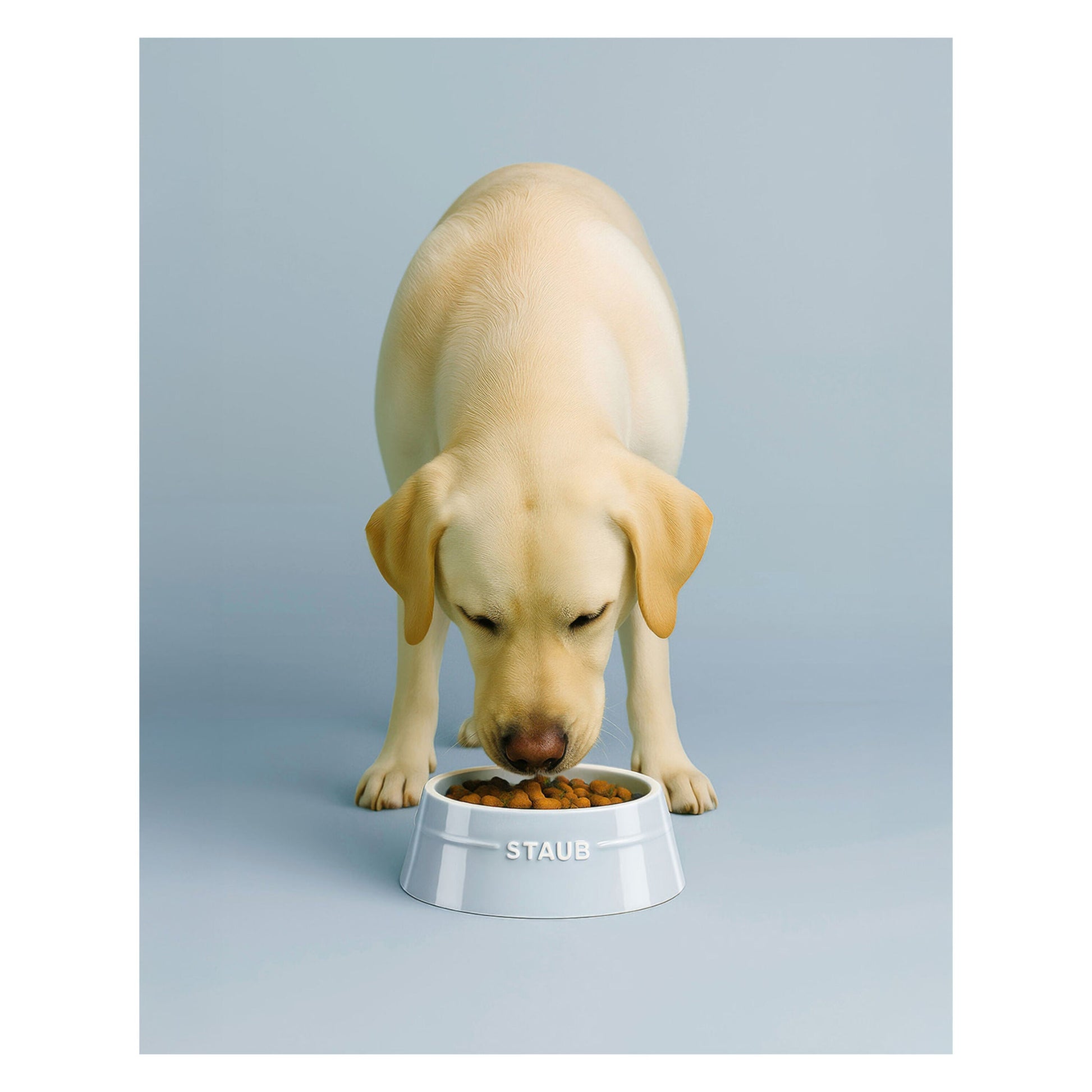 STAUB Ceramic Pet Bowl 400ml - Light Blue-DECOROLALA