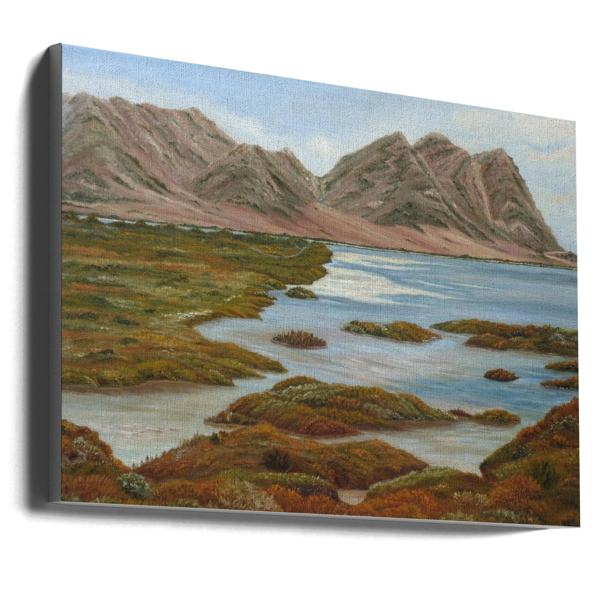 Salt Marsh by Angeles M. Pomata Wall Art-canvas-DECOROLALA