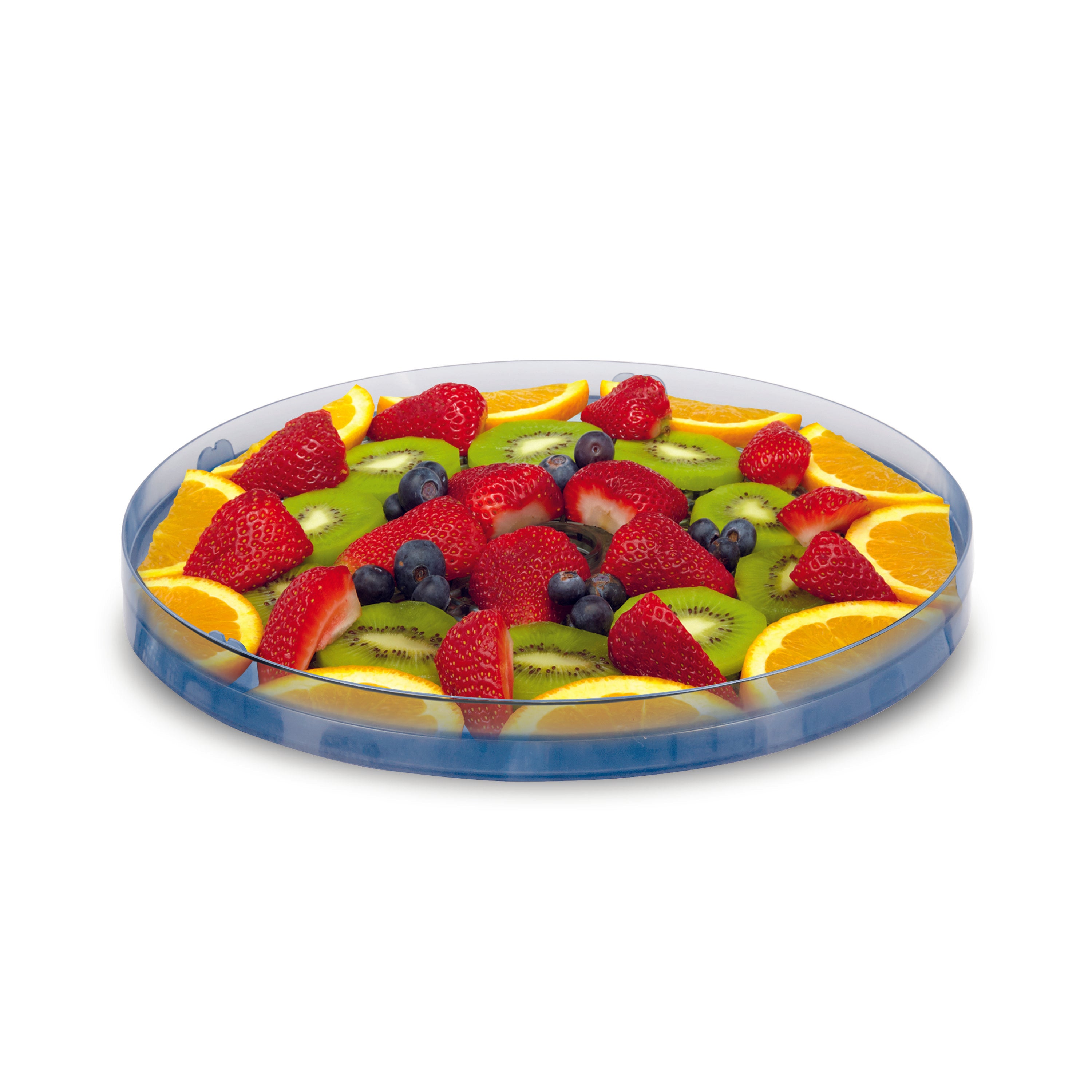 Salton Food Dehydrator-Food Dehydrators-DECOROLALA