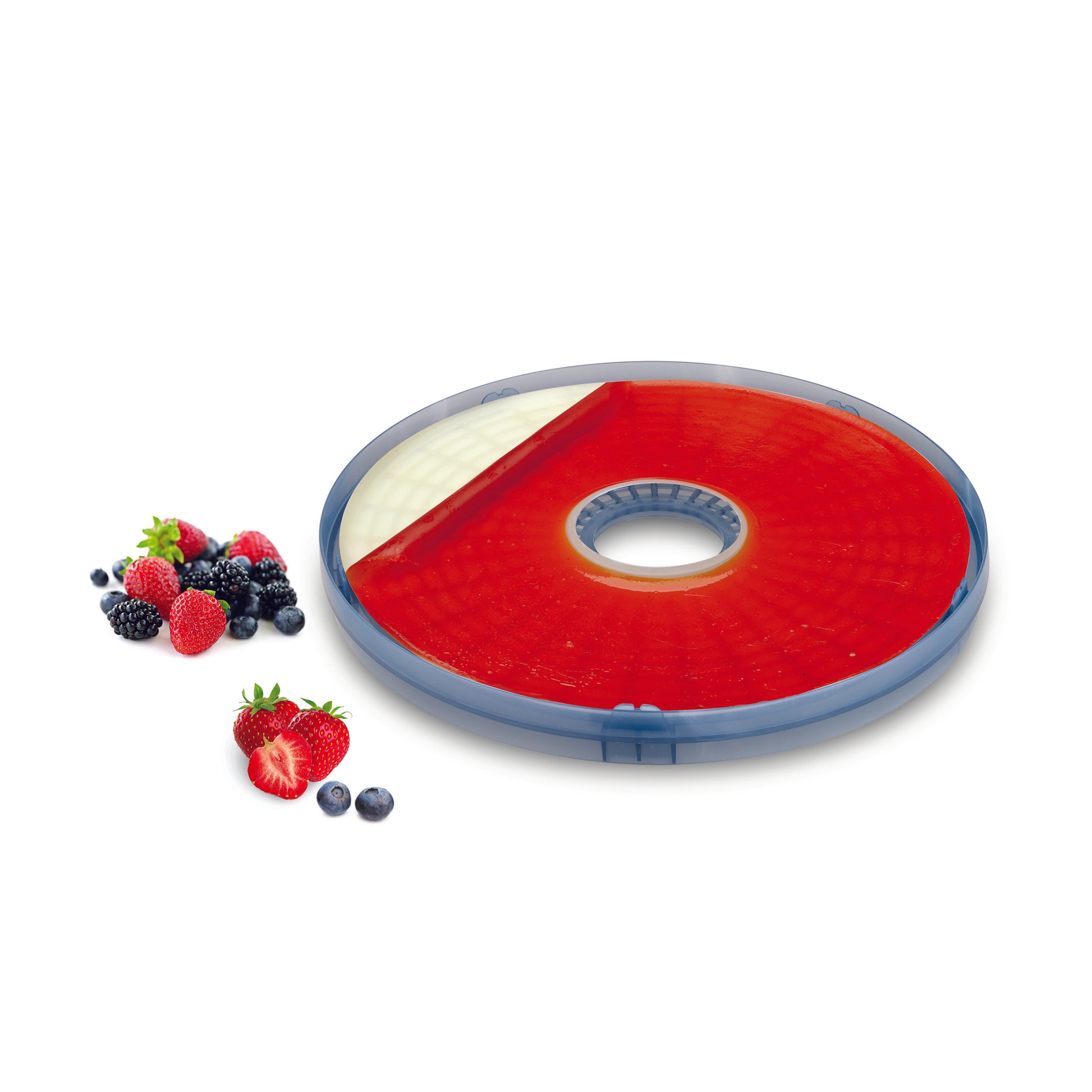 Salton Food Dehydrator-Food Dehydrators-DECOROLALA
