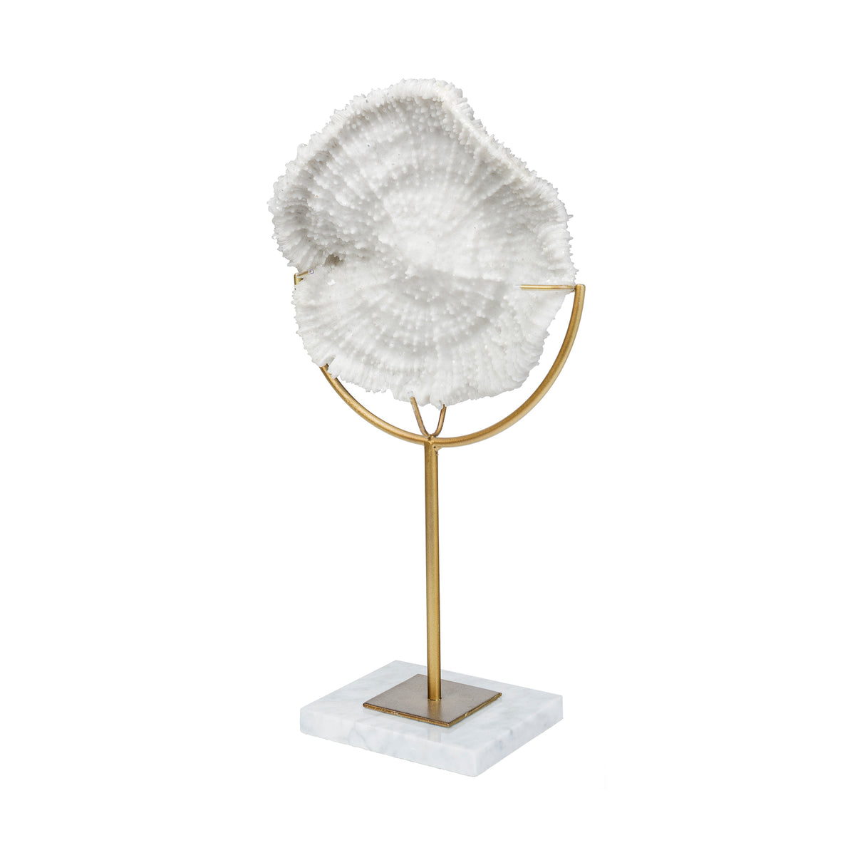 Sandy I White Coastal Sand Dollar Resin Object - Small 6"L x 3"W-Decorative Objects-DECOROLALA
