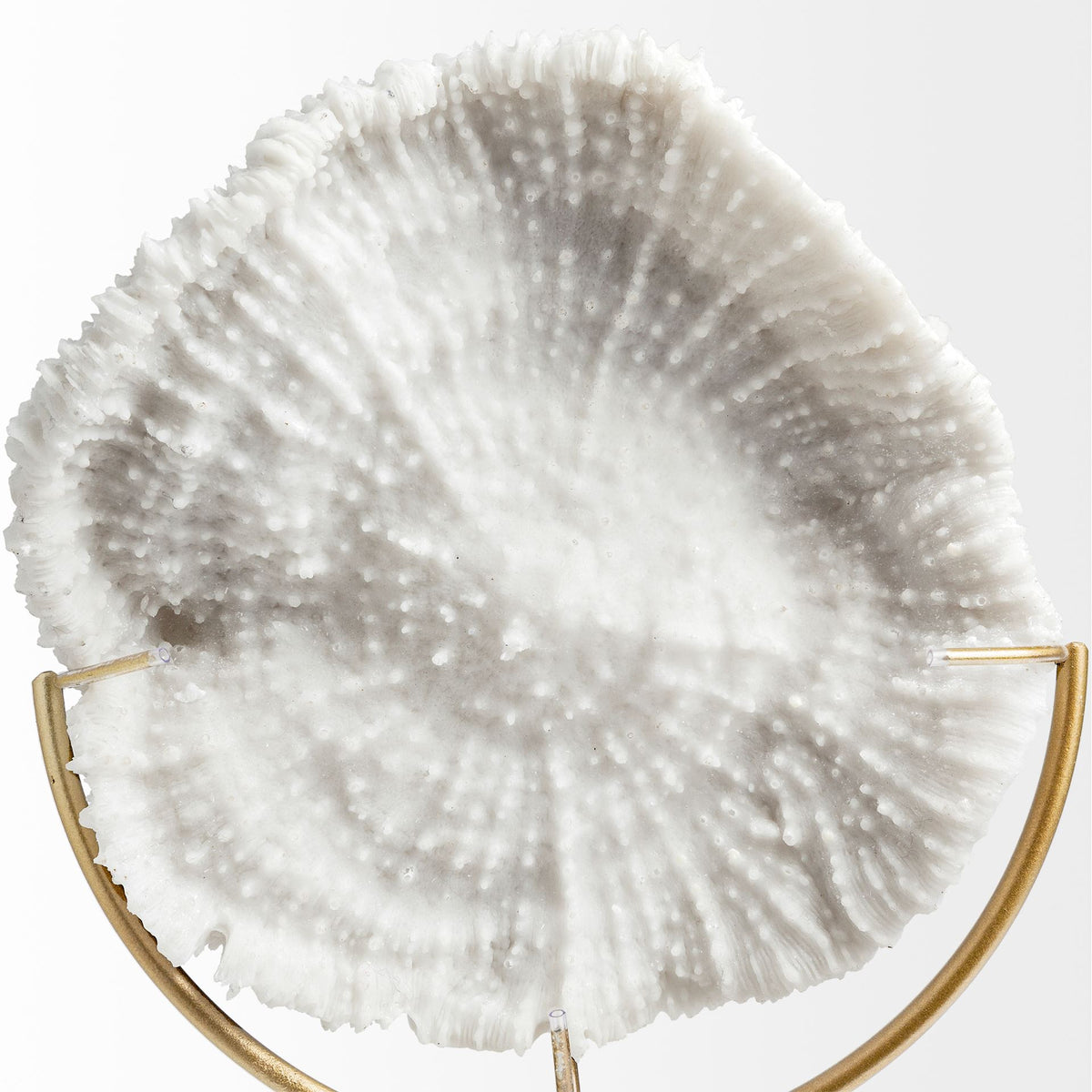 Sandy I (Small) 6L x 3W White Coastal Sand Dollar Object-Objects-DECOROLALA