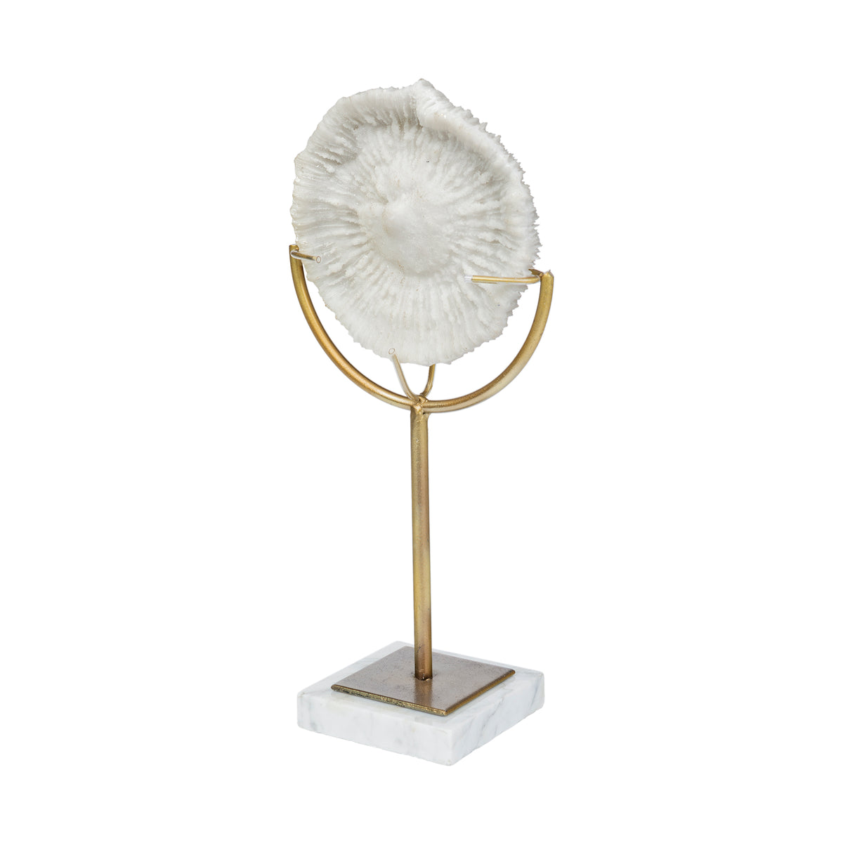 Sandy III White Coastal Large Resin Sand Dollar Object - 8" x 4"-Objects-DECOROLALA