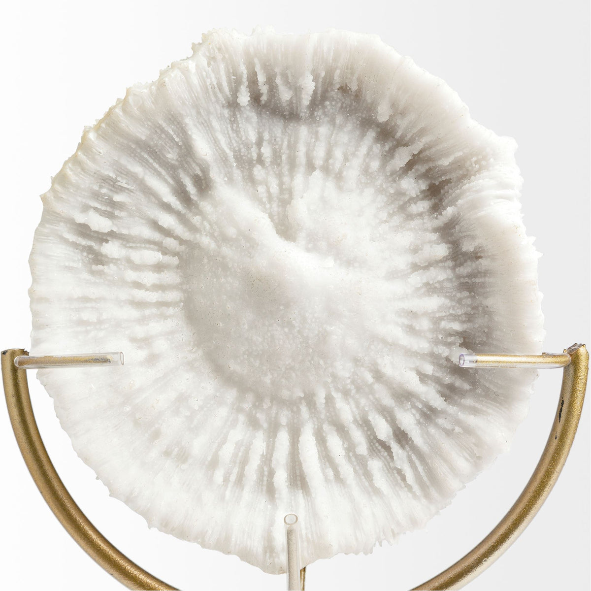 Sandy III White Coastal Large Resin Sand Dollar Object - 8" x 4"-Objects-DECOROLALA