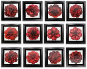 Set of 12 Mini Framed Art Canvases, 7.25"-Vase-DECOROLALA