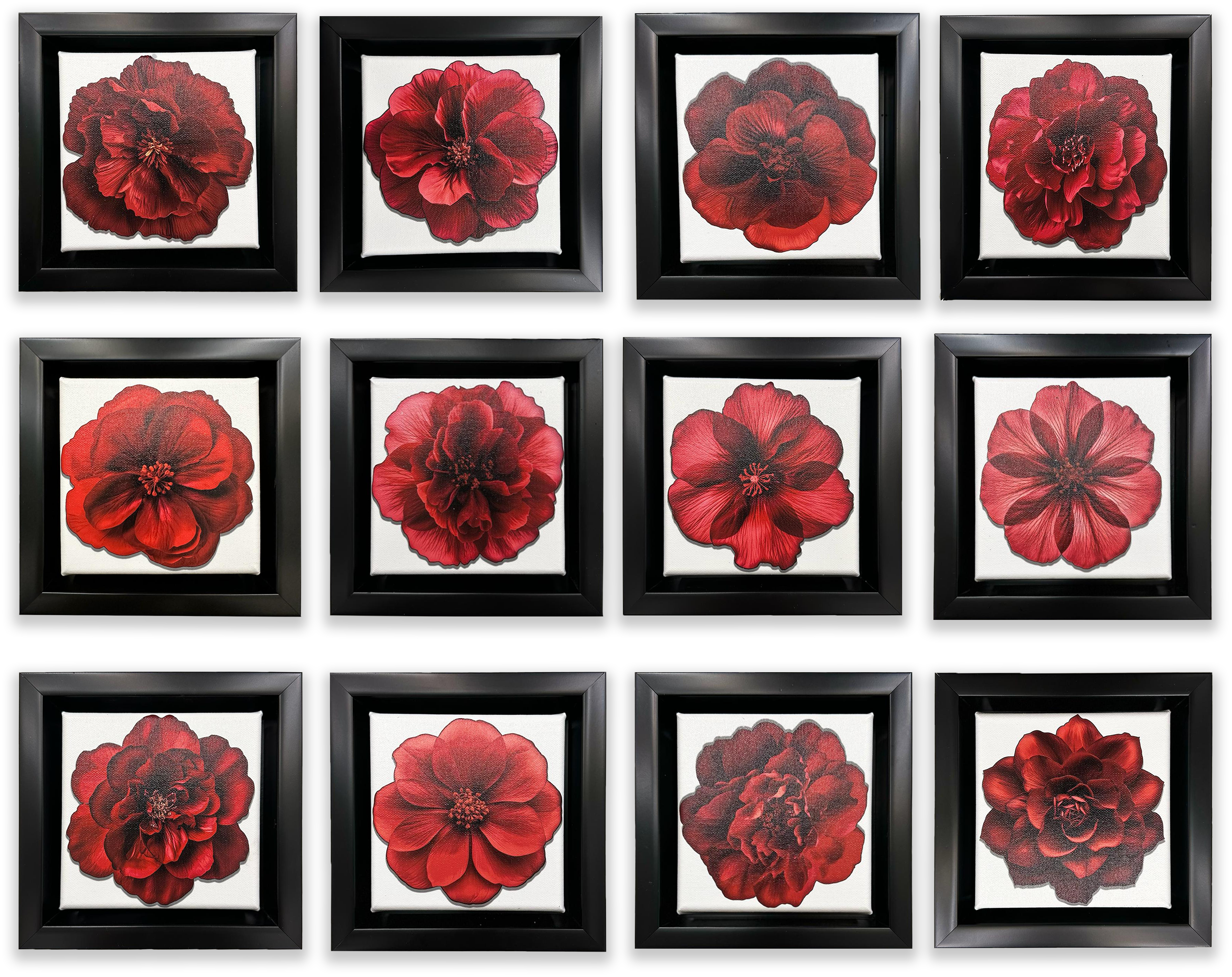 Set of 12 Mini Framed Art Canvases, 7.25"-Vase-DECOROLALA