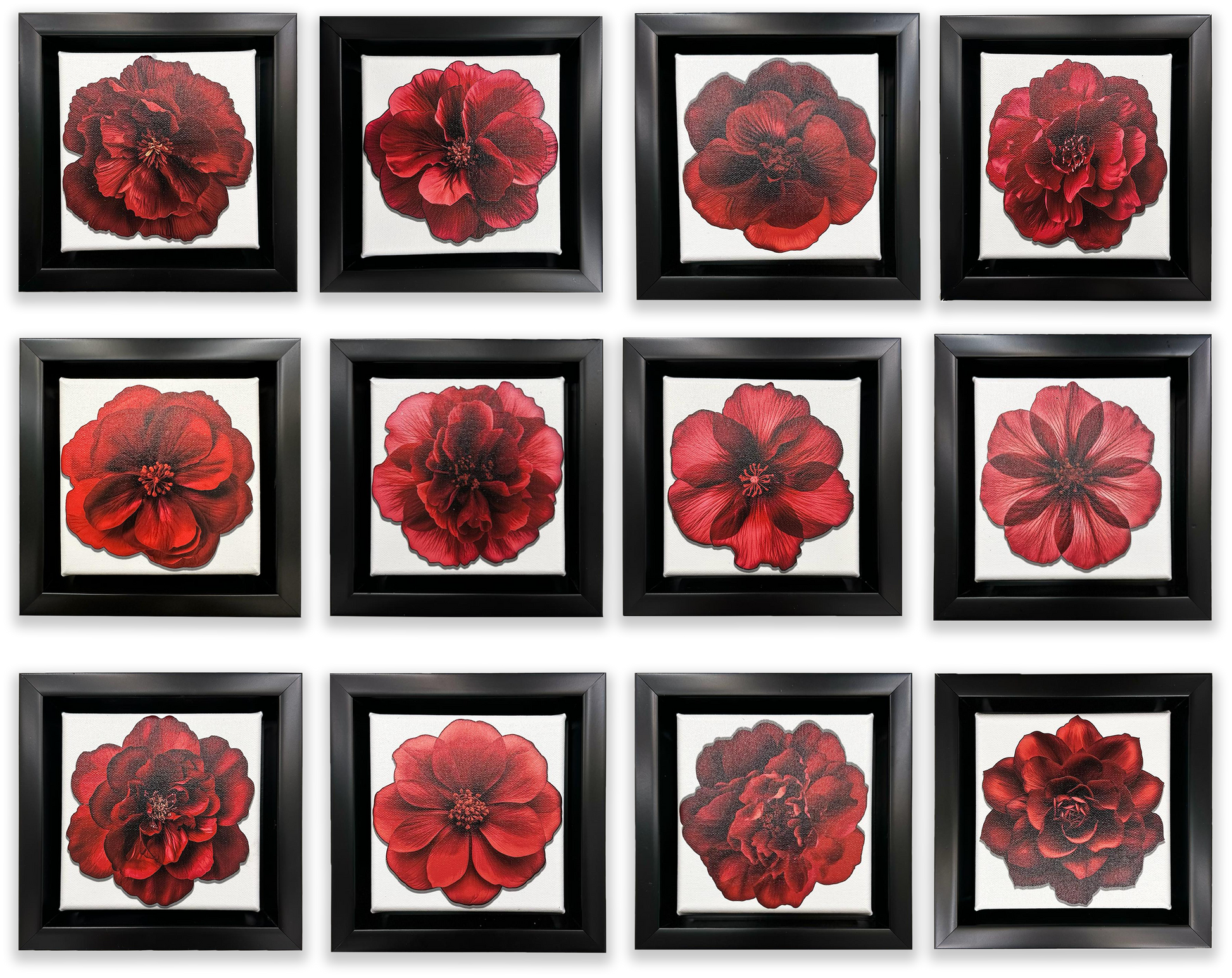 Set of 12 Mini Framed Fine Art Canvases-Vase-DECOROLALA