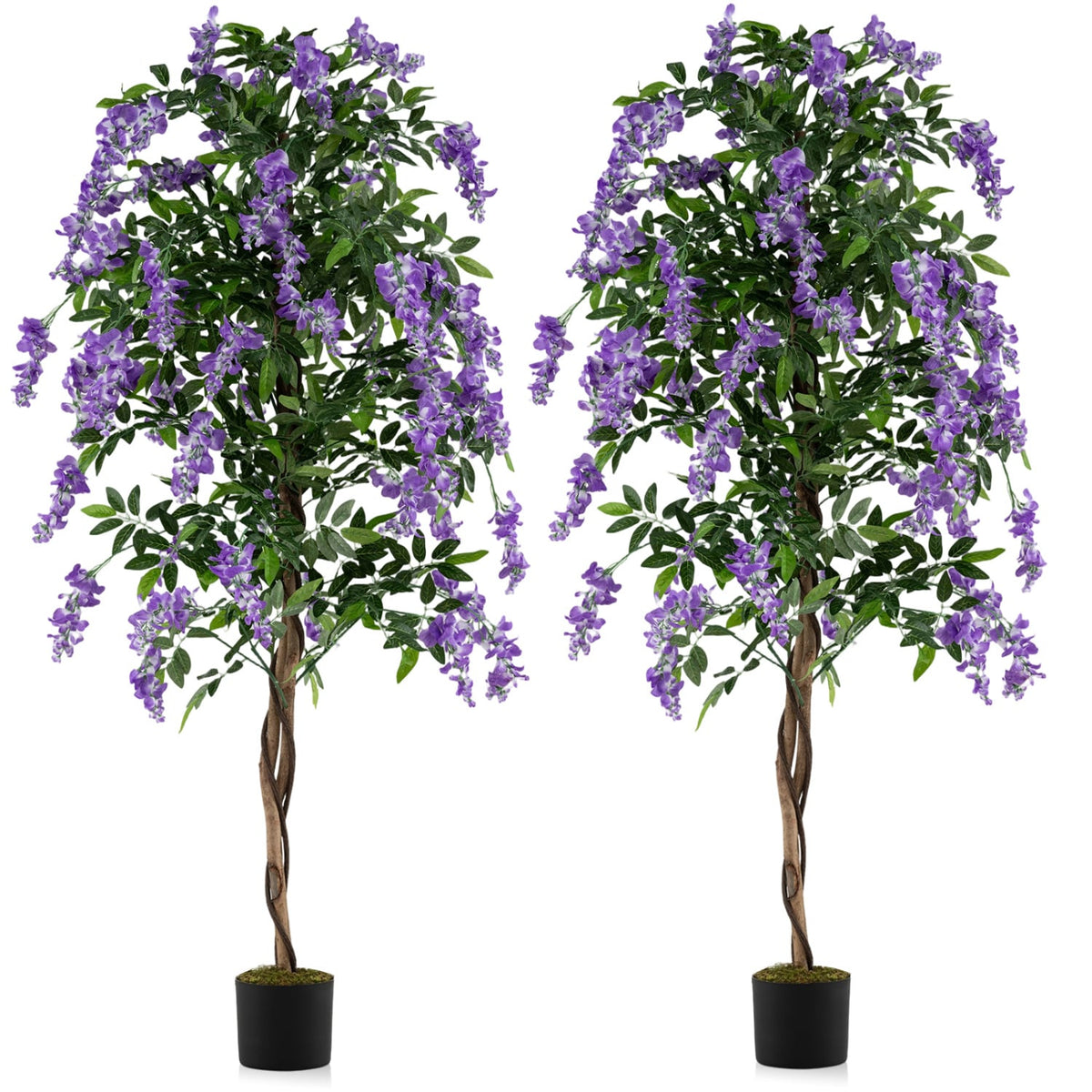 Set of 2 Fake Ficus Plant 6 FT Artificial Wisteria Tree with Natural Trunks and Purple Lifelike Flowers-Artificial Plants-DECOROLALA